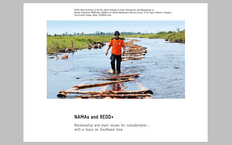 NAMAs-and-REDD+