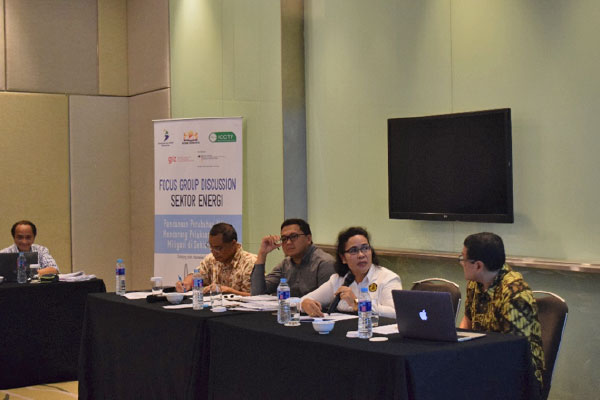 Indonesian NAMAs Financing Support (INFIS)