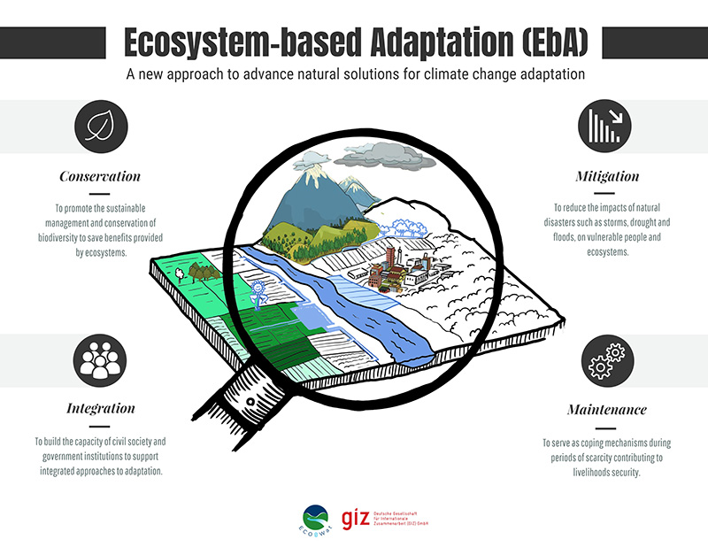 EbA-measures-Infographic