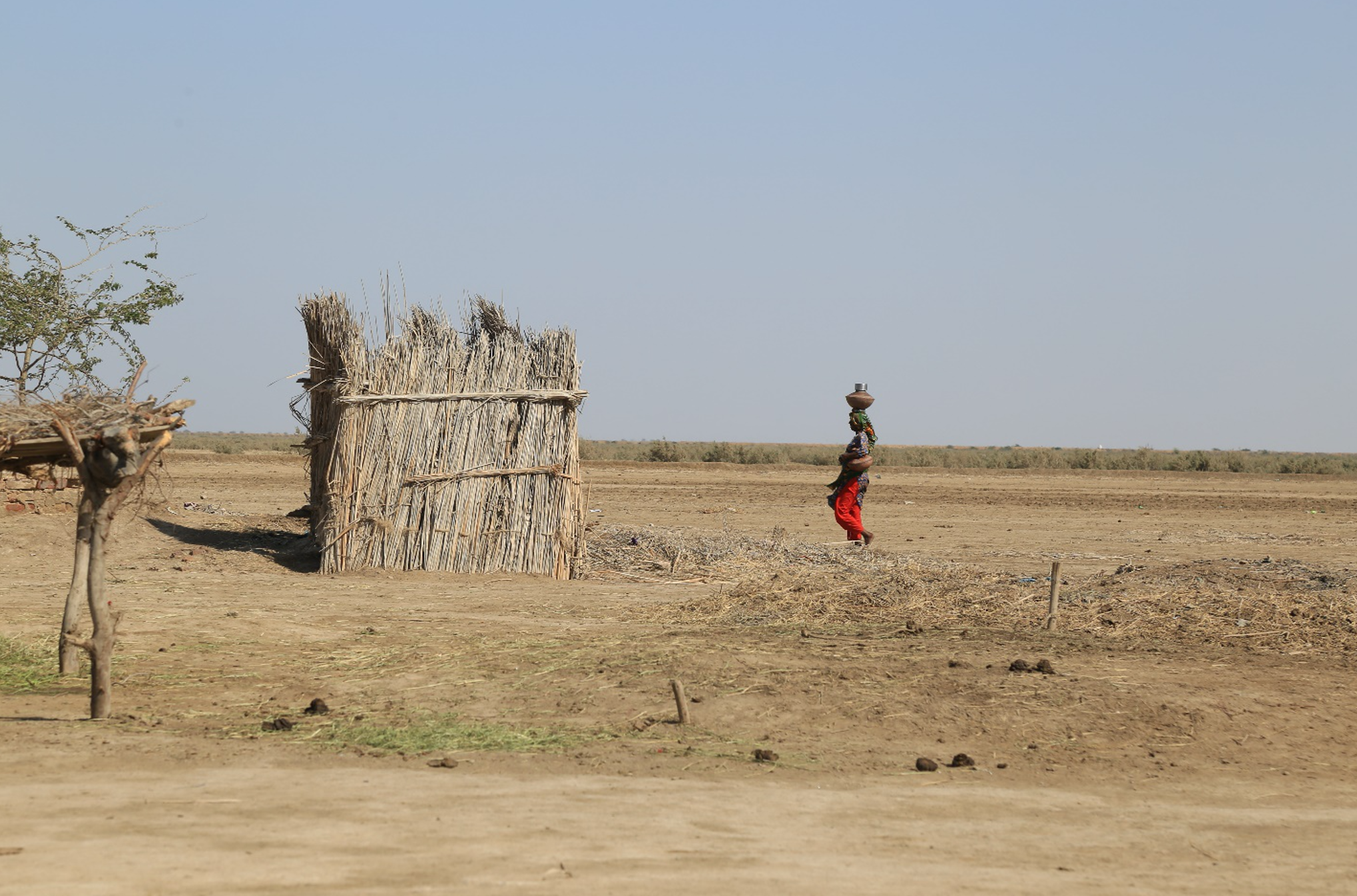 © Shutterstock.com: Tharparkar District has been suffering a drought for several decades and has been declared as a drought-affected area.