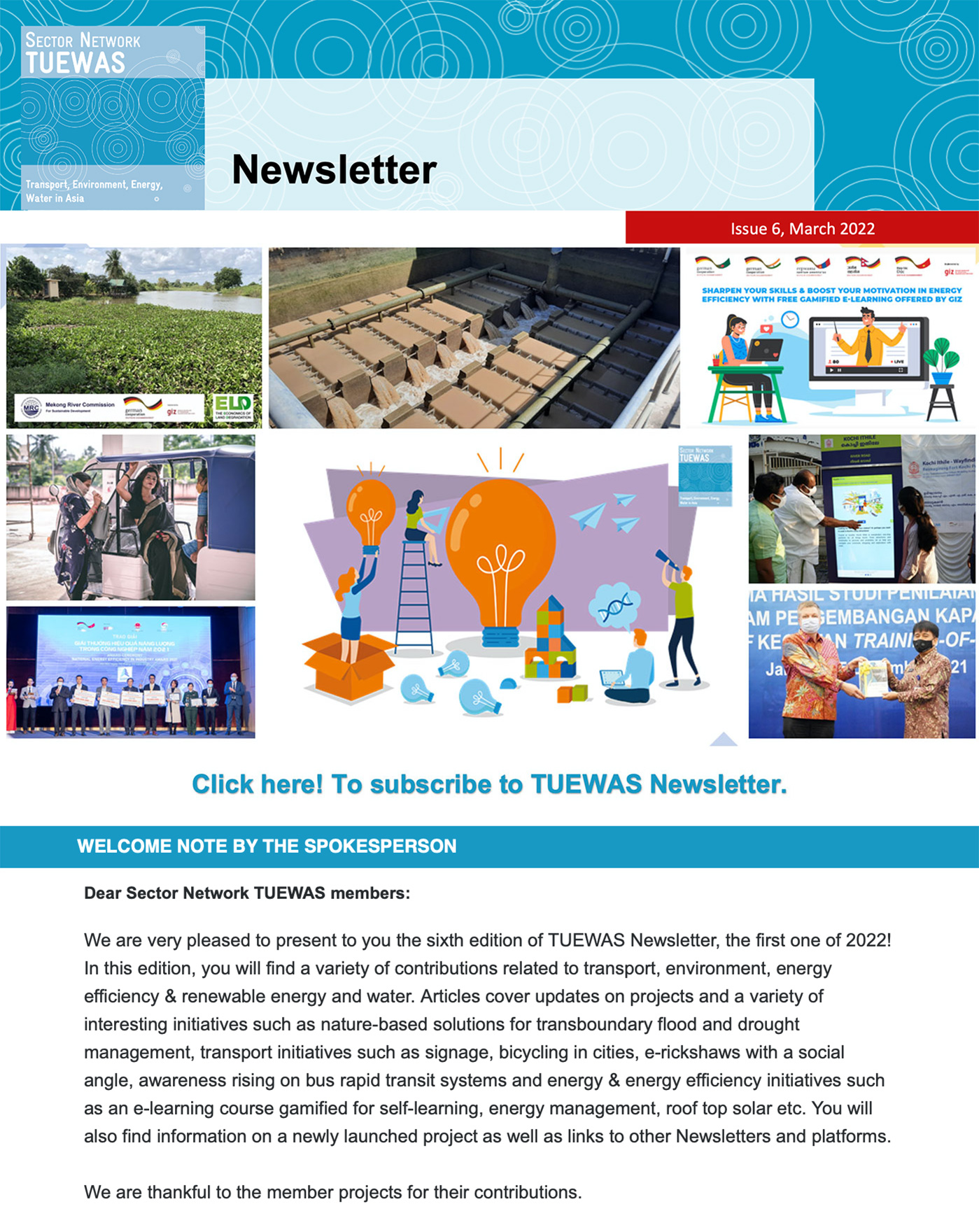 Newsletter – Issue 6