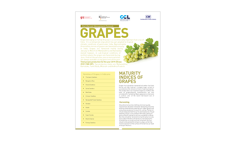 Post-Harvest Management Protocols Mango